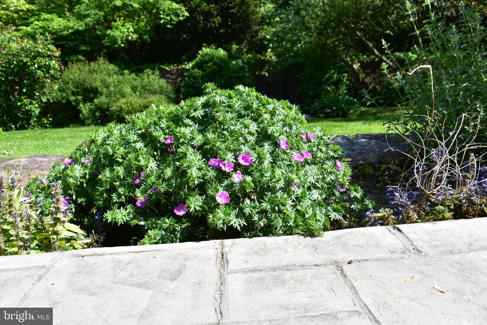 1256 Valley Road Rydal, PA 19046 - Photo 74 of 78