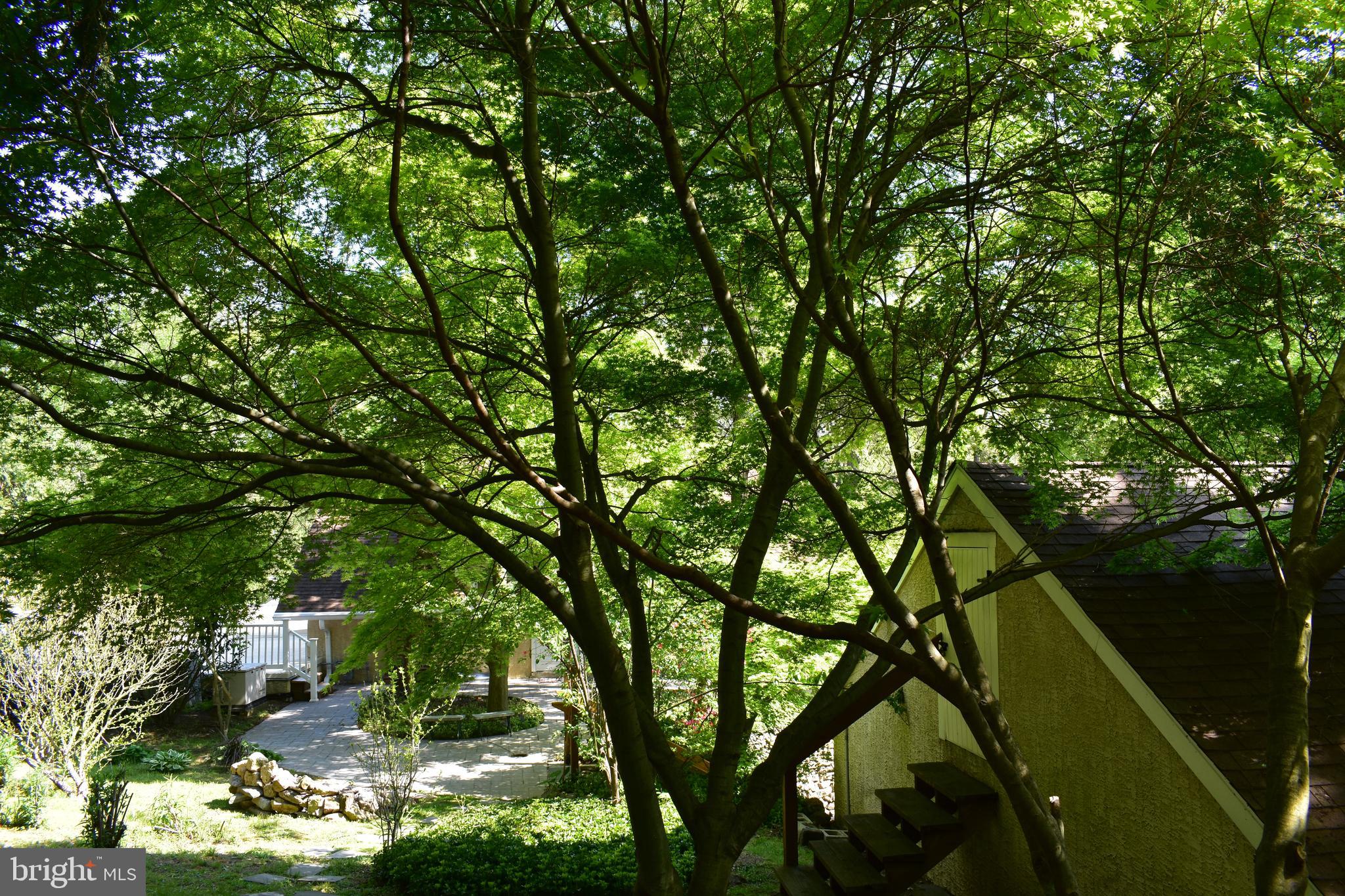 1256 Valley Road Rydal, PA 19046 - Photo 76 of 78