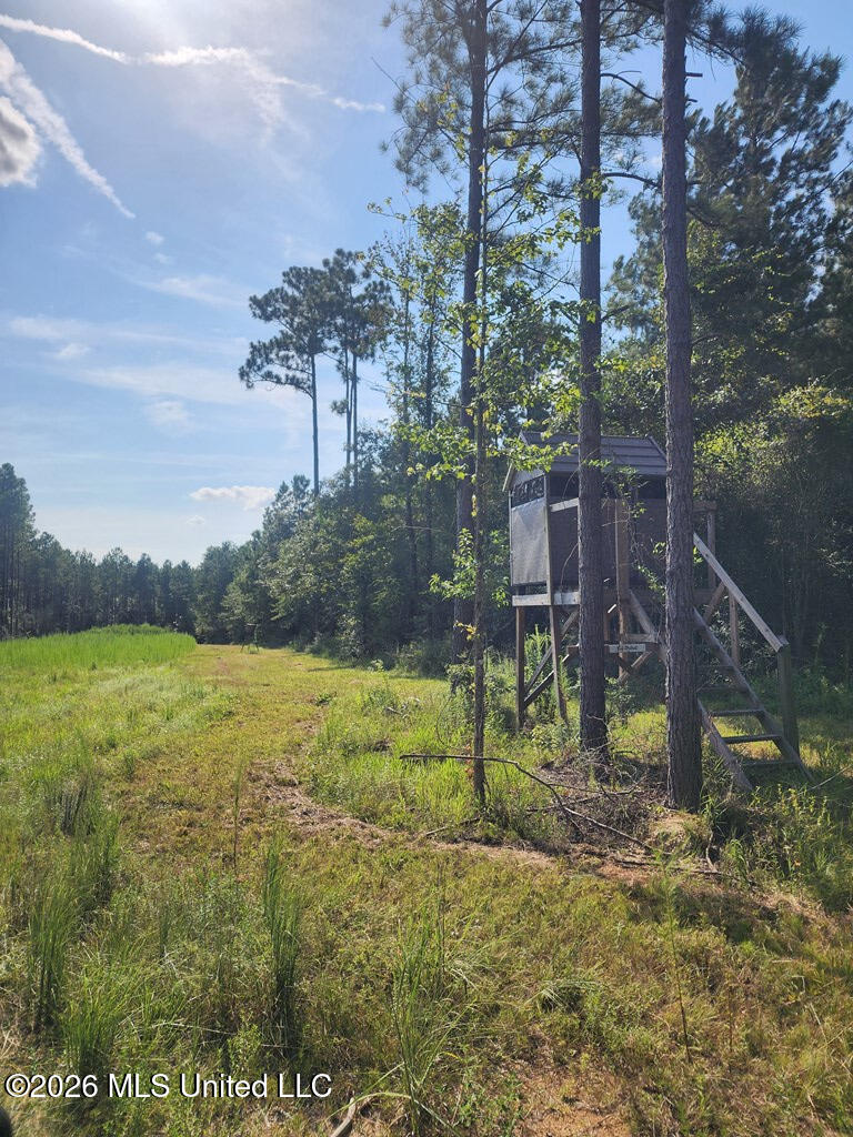 121 Molly Road Foxworth, MS 39483 - Photo 36 of 53 189199_6