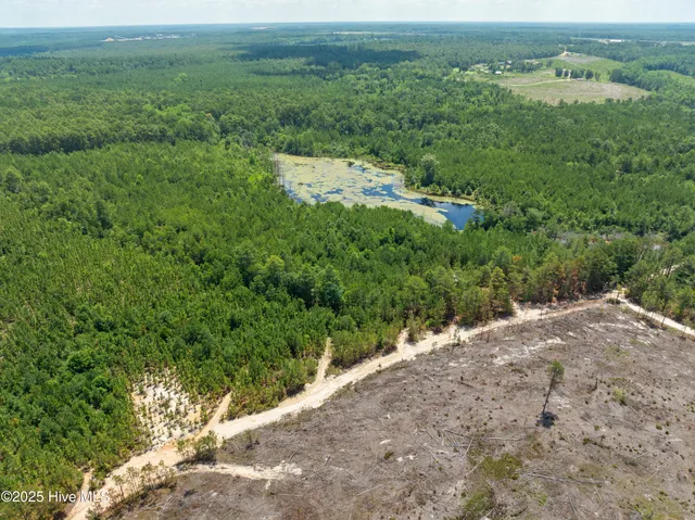 $250,000 | 0 East V Hogan Drive, Hamlet, NC 28345