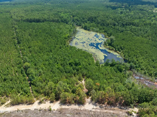 $250,000 | 0 East V Hogan Drive, Hamlet, NC 28345