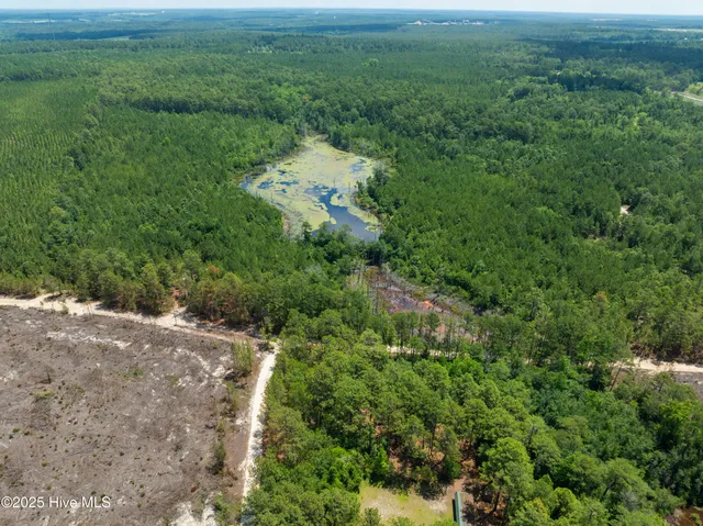 $250,000 | 0 East V Hogan Drive, Hamlet, NC 28345