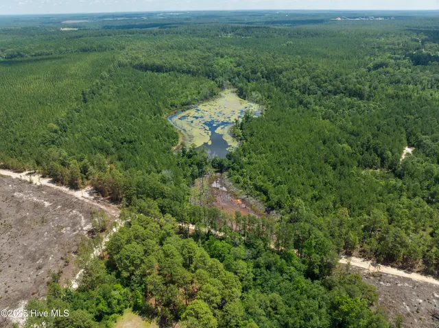 $250,000 | 0 East V Hogan Drive, Hamlet, NC 28345