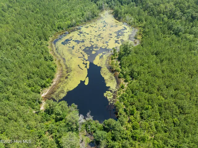 $250,000 | 0 East V Hogan Drive, Hamlet, NC 28345