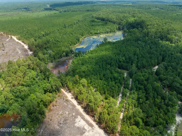 $250,000 | 0 East V Hogan Drive, Hamlet, NC 28345