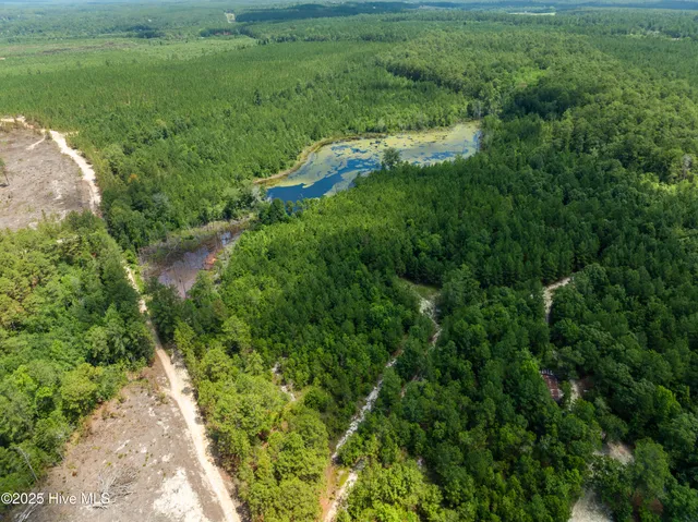 $250,000 | 0 East V Hogan Drive, Hamlet, NC 28345