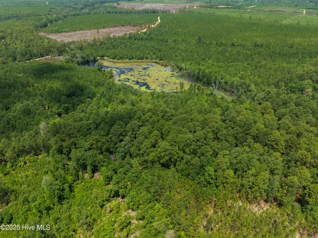 $250,000 | 0 East V Hogan Drive, Hamlet, NC 28345