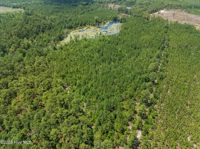 $250,000 | 0 East V Hogan Drive, Hamlet, NC 28345