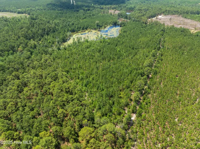 $250,000 | 0 East V Hogan Drive, Hamlet, NC 28345