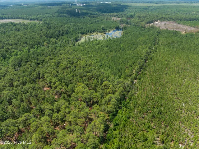 $250,000 | 0 East V Hogan Drive, Hamlet, NC 28345