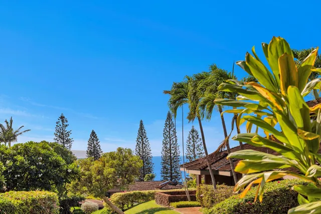 a view of a palm trees with a building in the background