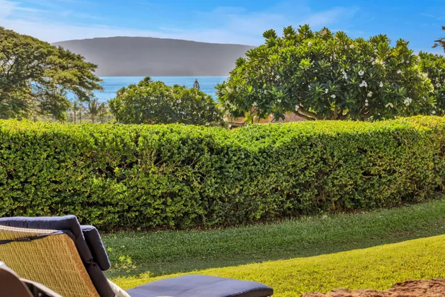 a view of a yard with a wooden fence