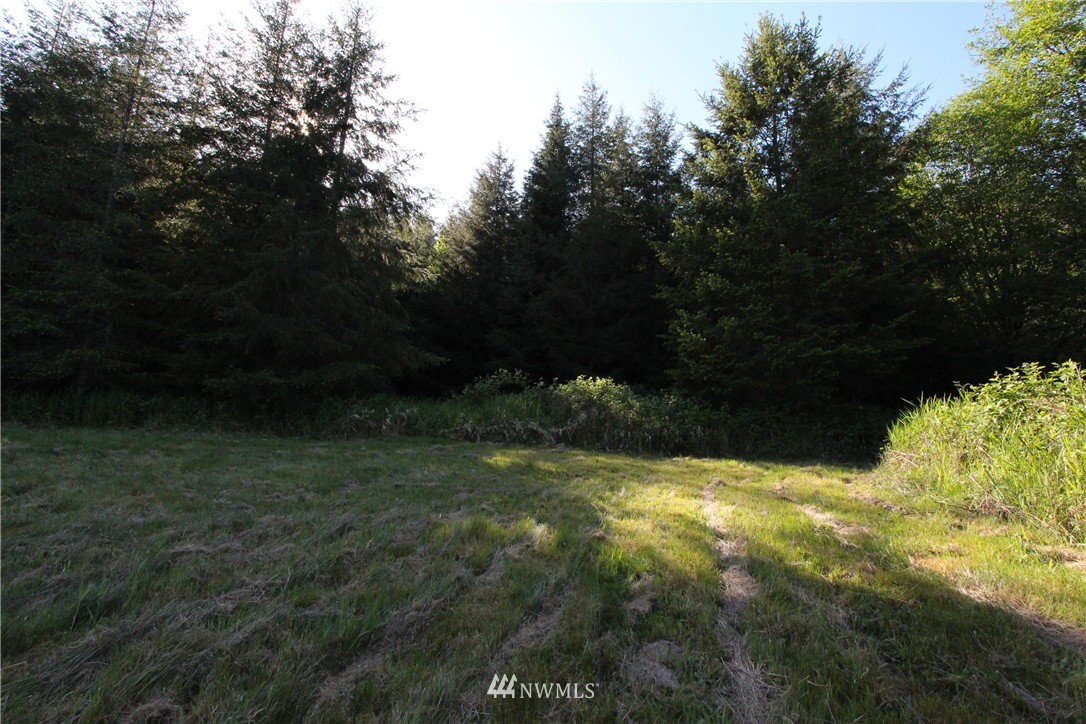 589 Halliday Road Centralia, WA 98531 - Photo 25 of 25 Gallery Image 25