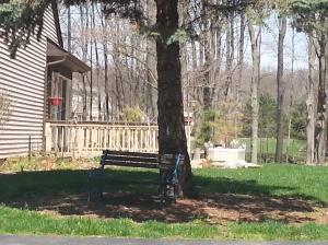 7675 Plumb Road Galena, OH 43021 - Photo 3 of 9