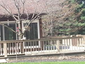 7675 Plumb Road Galena, OH 43021 - Photo 4 of 9