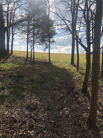 11 Roberts Road Watertown, TN 37184 - Photo 3 of 10 a view of yard with tree