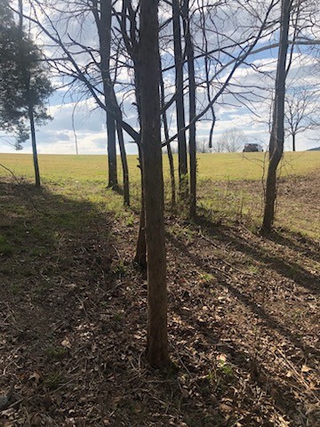 11 Roberts Road Watertown, TN 37184 - Photo 4 of 10 a view of a yard with lots of trees