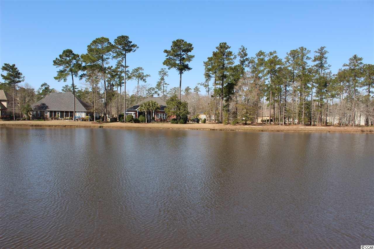 219 Chamberlin Road Myrtle Beach, SC 29588 - Photo 33 of 40 Gallery Image 33