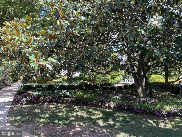 a view of outdoor space and seating area