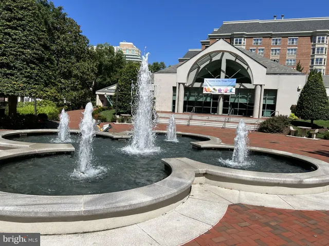 a picture of flowers