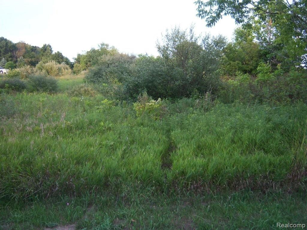 9 A Charles Huff Road Howell, MI 48855 - Photo 7 of 7 view