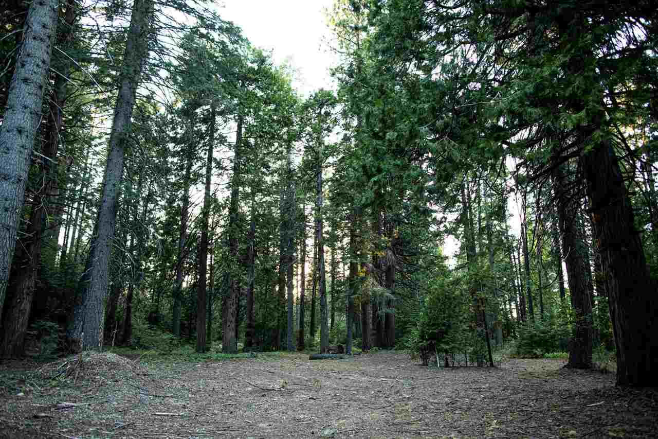 1012 Davis Place Road Mount Shasta, CA 96067 - Photo 15 of 26 Gallery Image 15