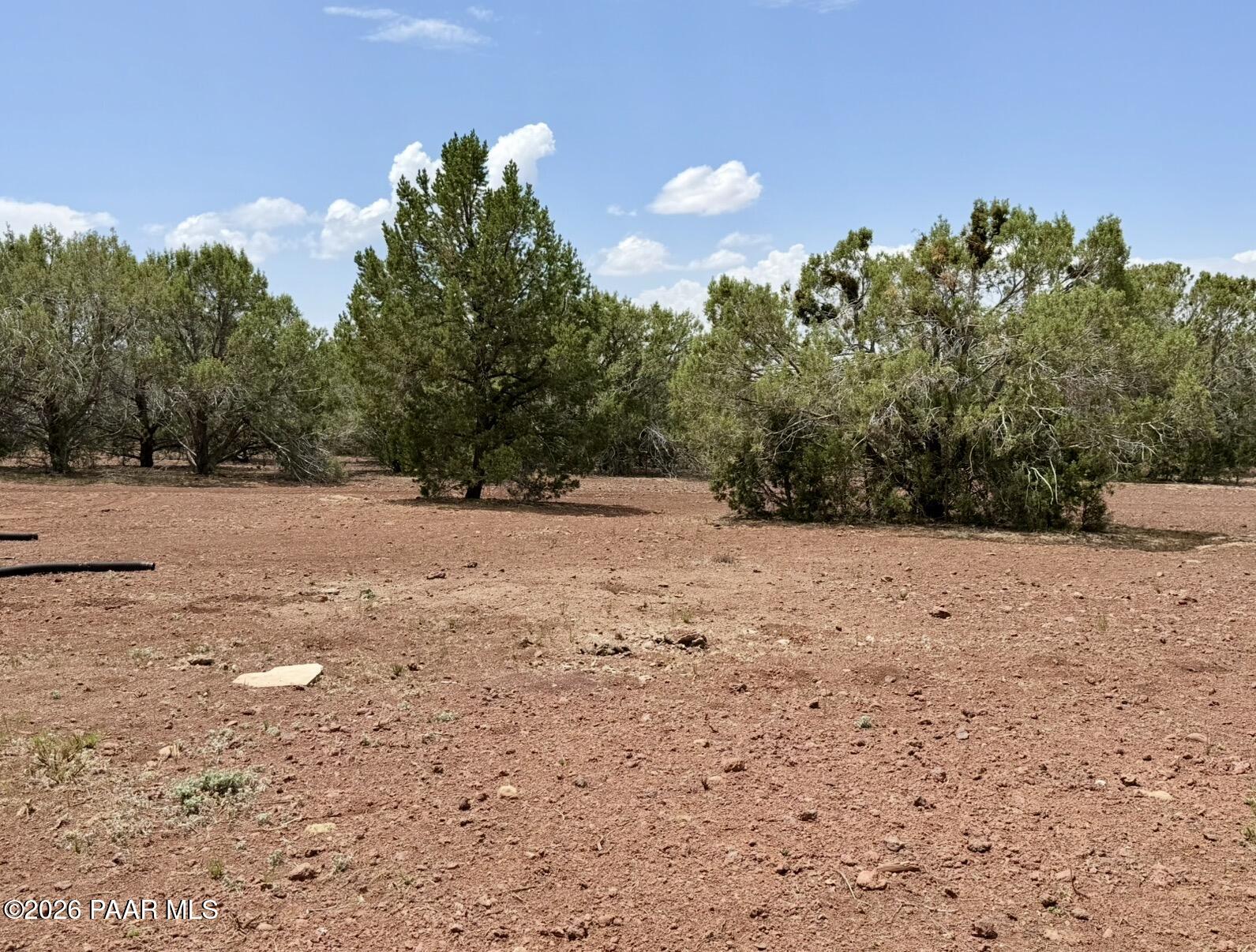 17169 Beale Wagon Road Seligman, AZ 86337 - Photo 49 of 55 Beale Wagon Homestead