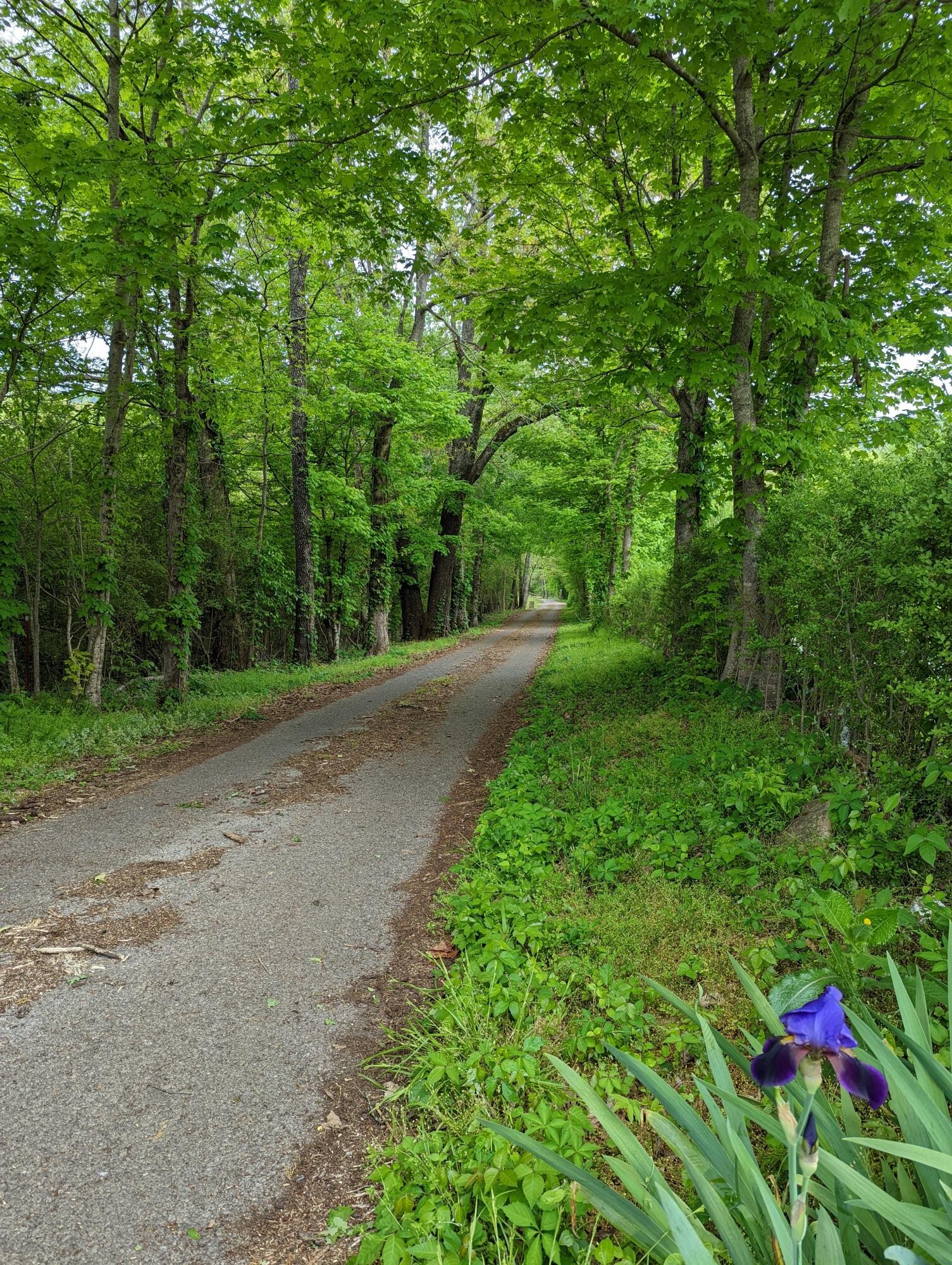 22 Cooley Road Dunlap, TN 37327 - Photo 11 of 12 Gallery Image 11