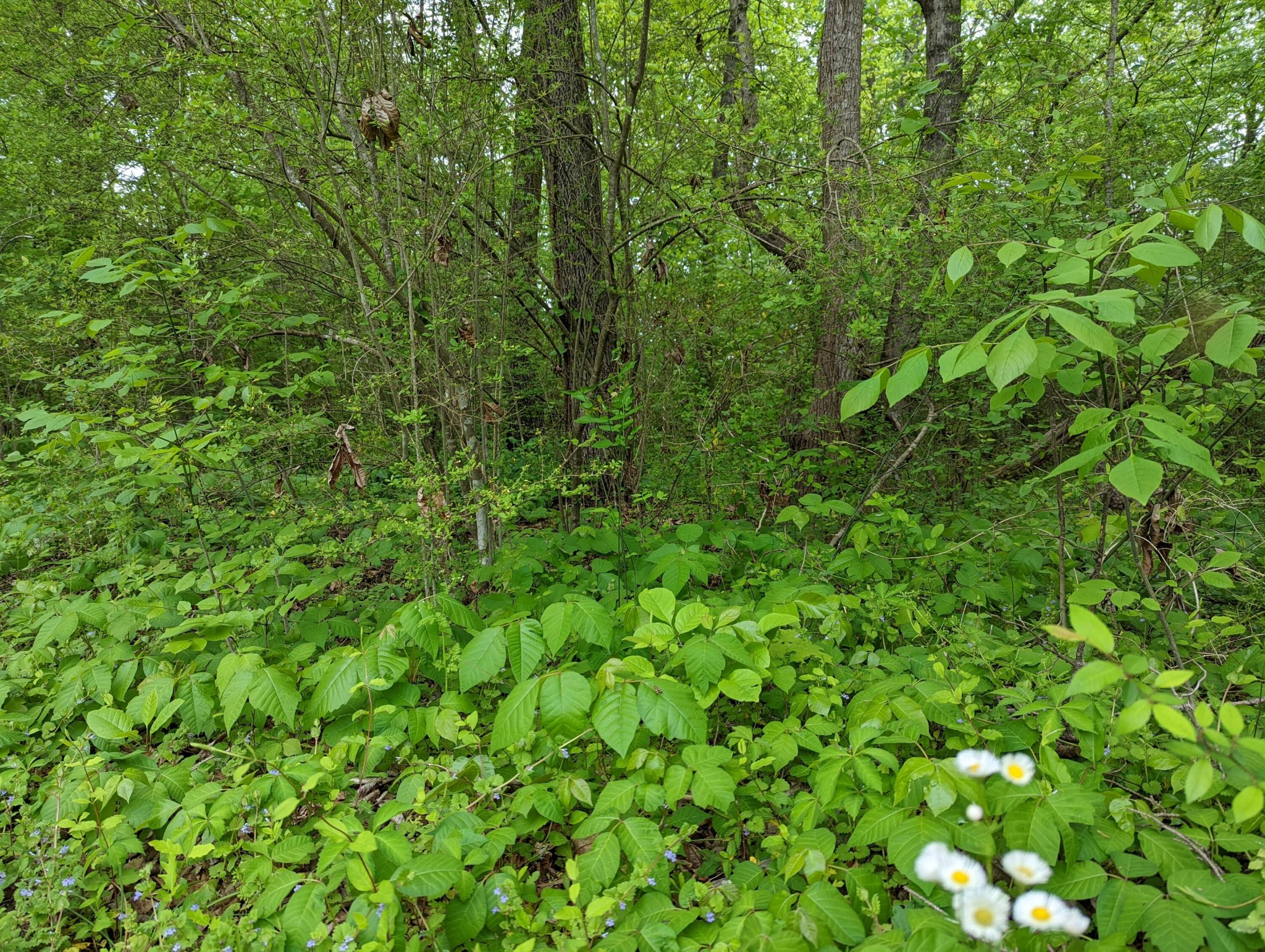 Gallery Image 6