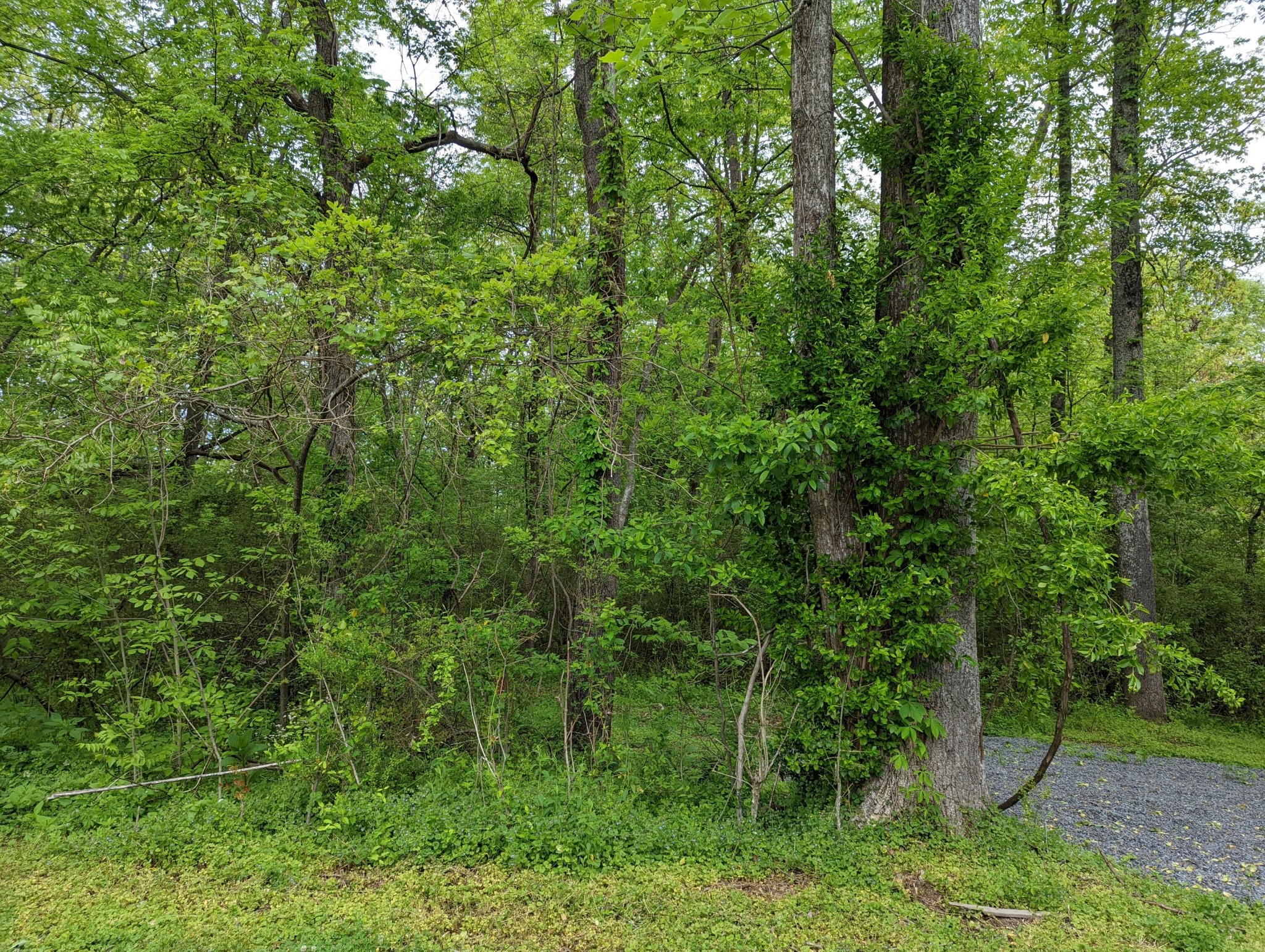 22 Cooley Road Dunlap, TN 37327 - Photo 8 of 12 Gallery Image 8