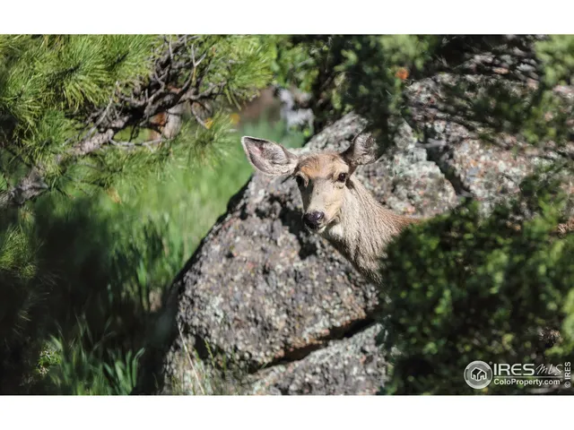 $1,049,000 | 187 Wichita Road, Lyons, CO 80540