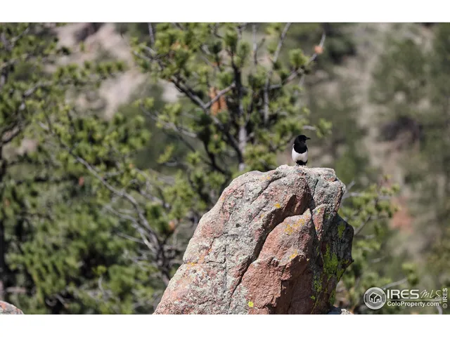 a view of a lake view
