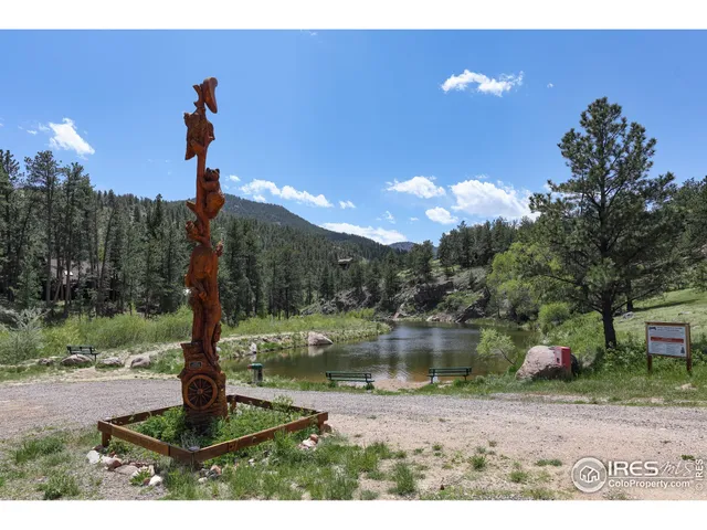 a view of a yard with street