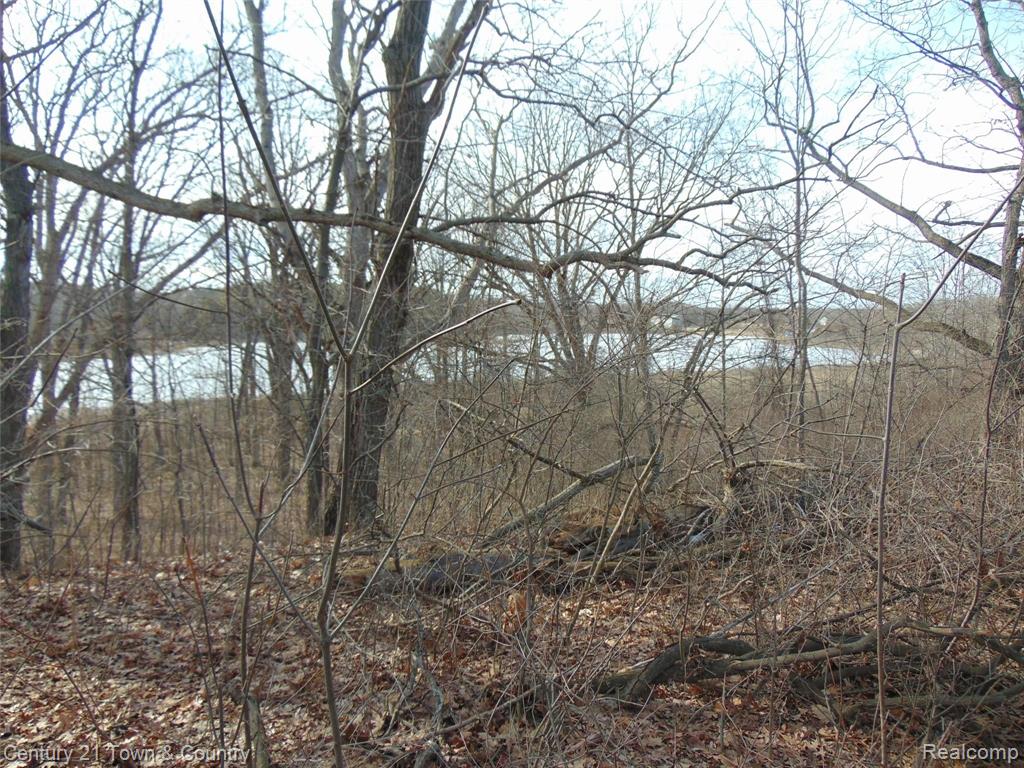 0 Taylor Lake Road Pontiac, MI 48342 - Photo 7 of 10