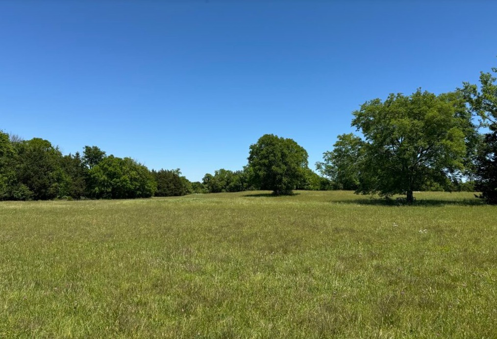 0 Oak Grove Road Lebanon, TN 37090 - Photo 1 of 6 Gallery Image 1