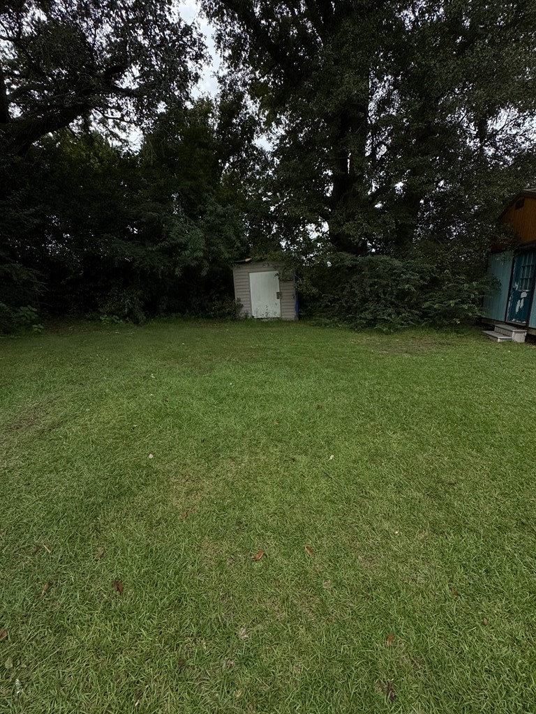 109 Zack Road Cowarts, AL 36321 - Photo 2 of 4