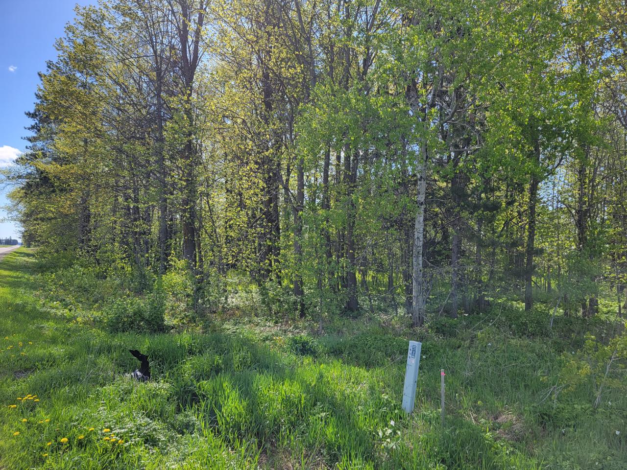 N4869 Star Neva Road Antigo, WI 54409 - Photo 16 of 24 Gallery Image 16