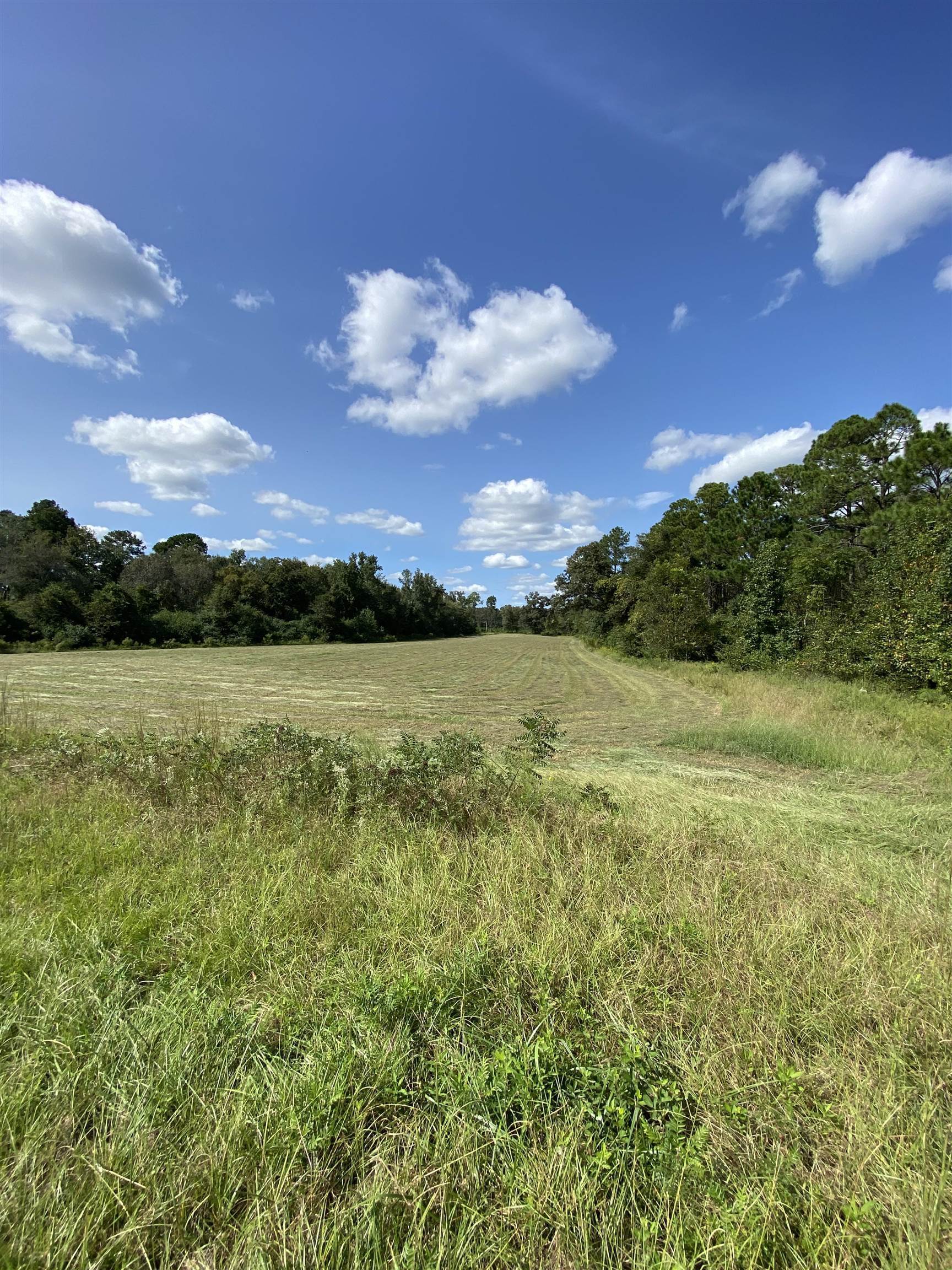 0 Elam Road Millen, GA 30442 - Photo 1 of 1 Gallery Image 1