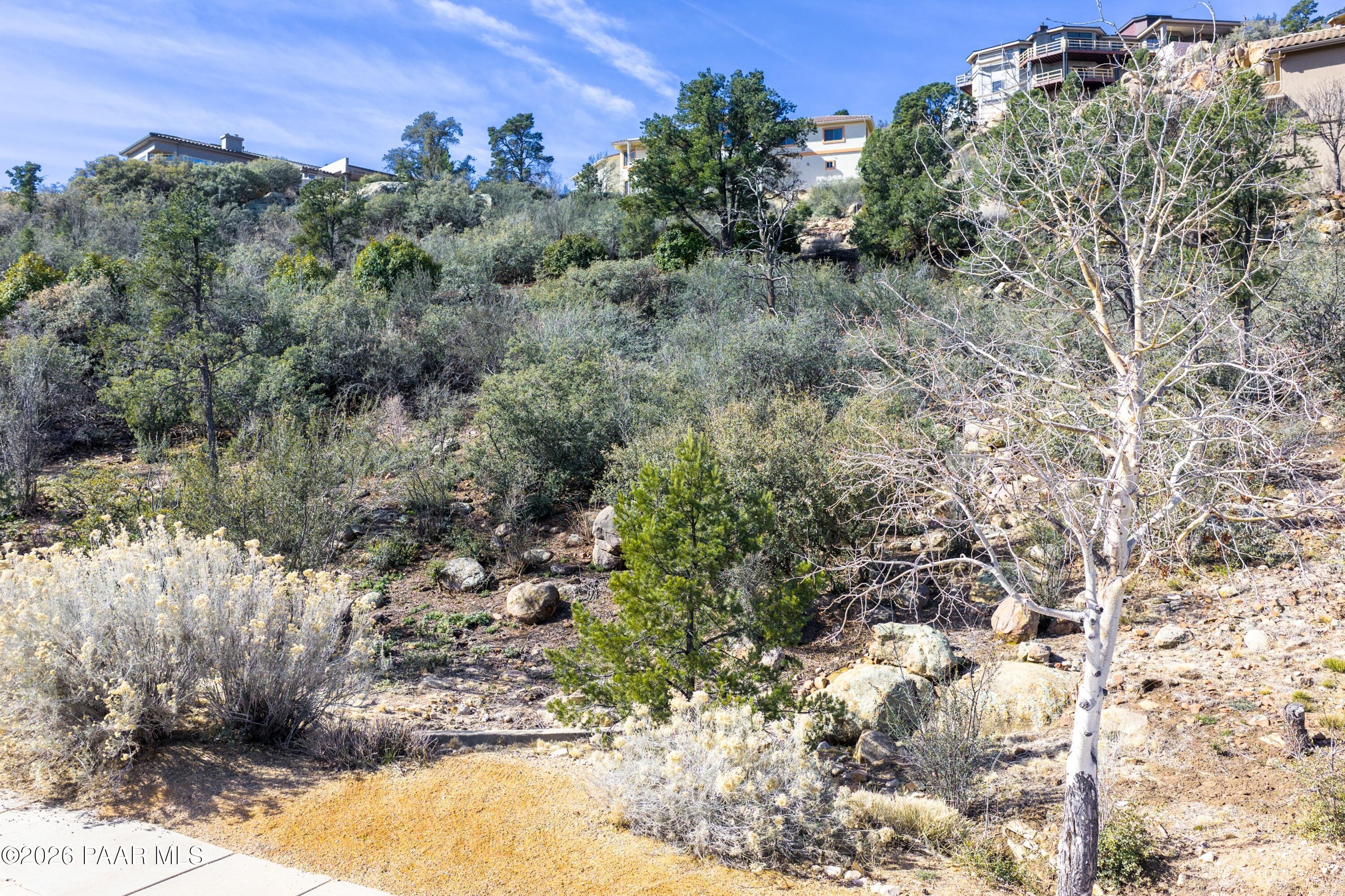 a view of a forest with a building in the back
