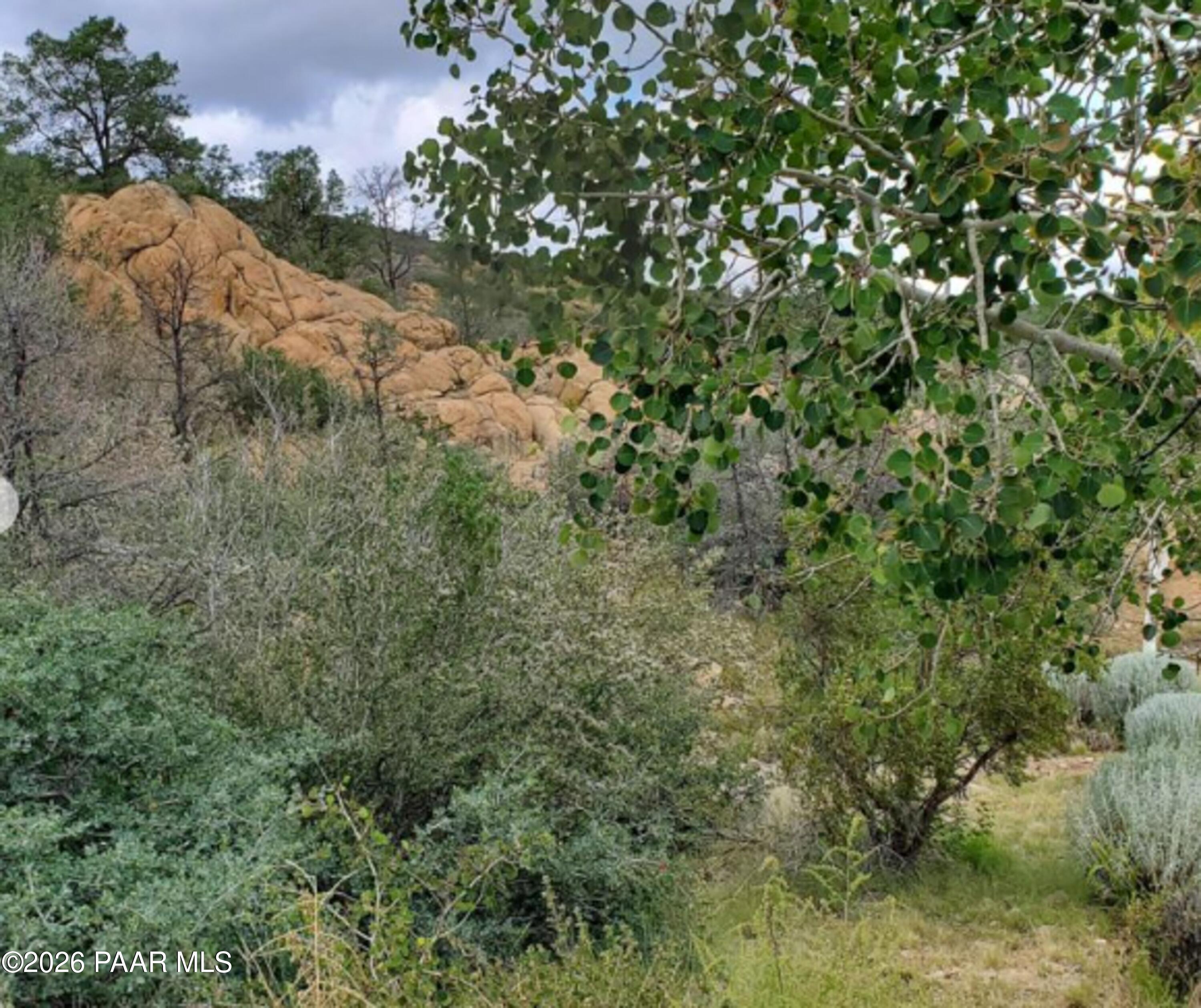 3076 La Questa Prescott, AZ 86305 - Photo 33 of 38 a view of a forest with a tree