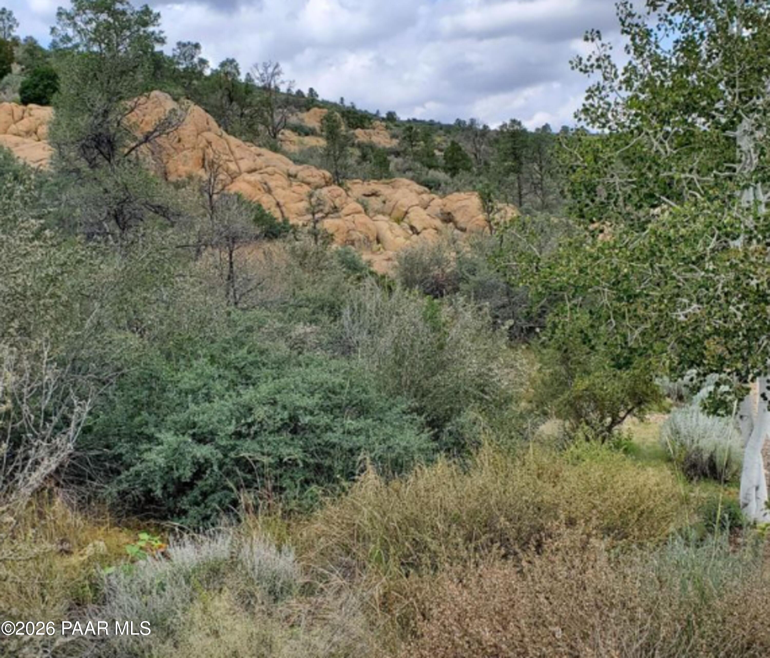 3076 La Questa Prescott, AZ 86305 - Photo 35 of 38 a view of a forest with a street
