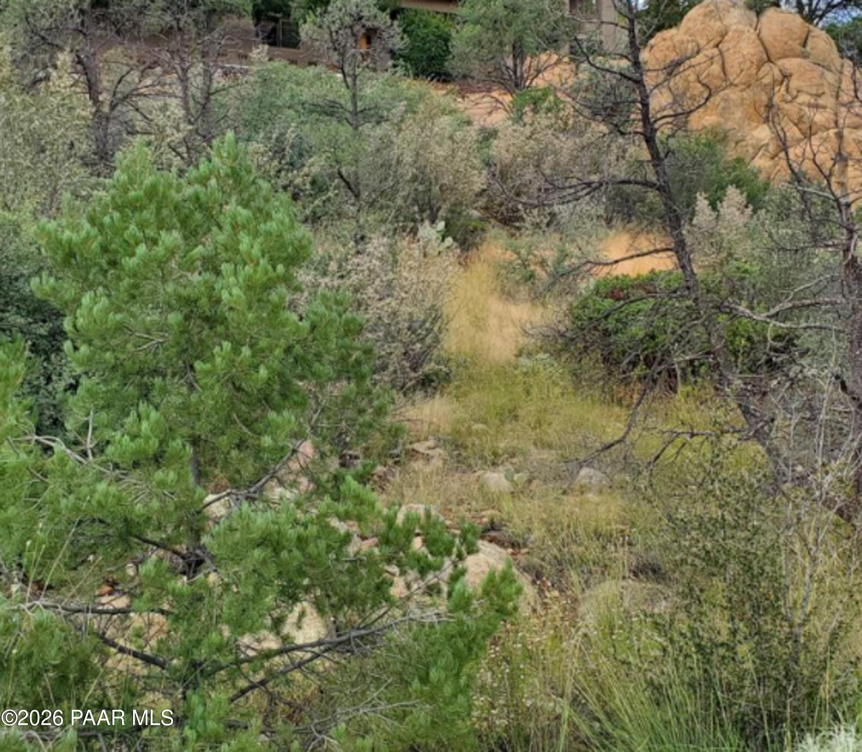 3076 La Questa Prescott, AZ 86305 - Photo 36 of 38 a view of a lush green forest with large trees