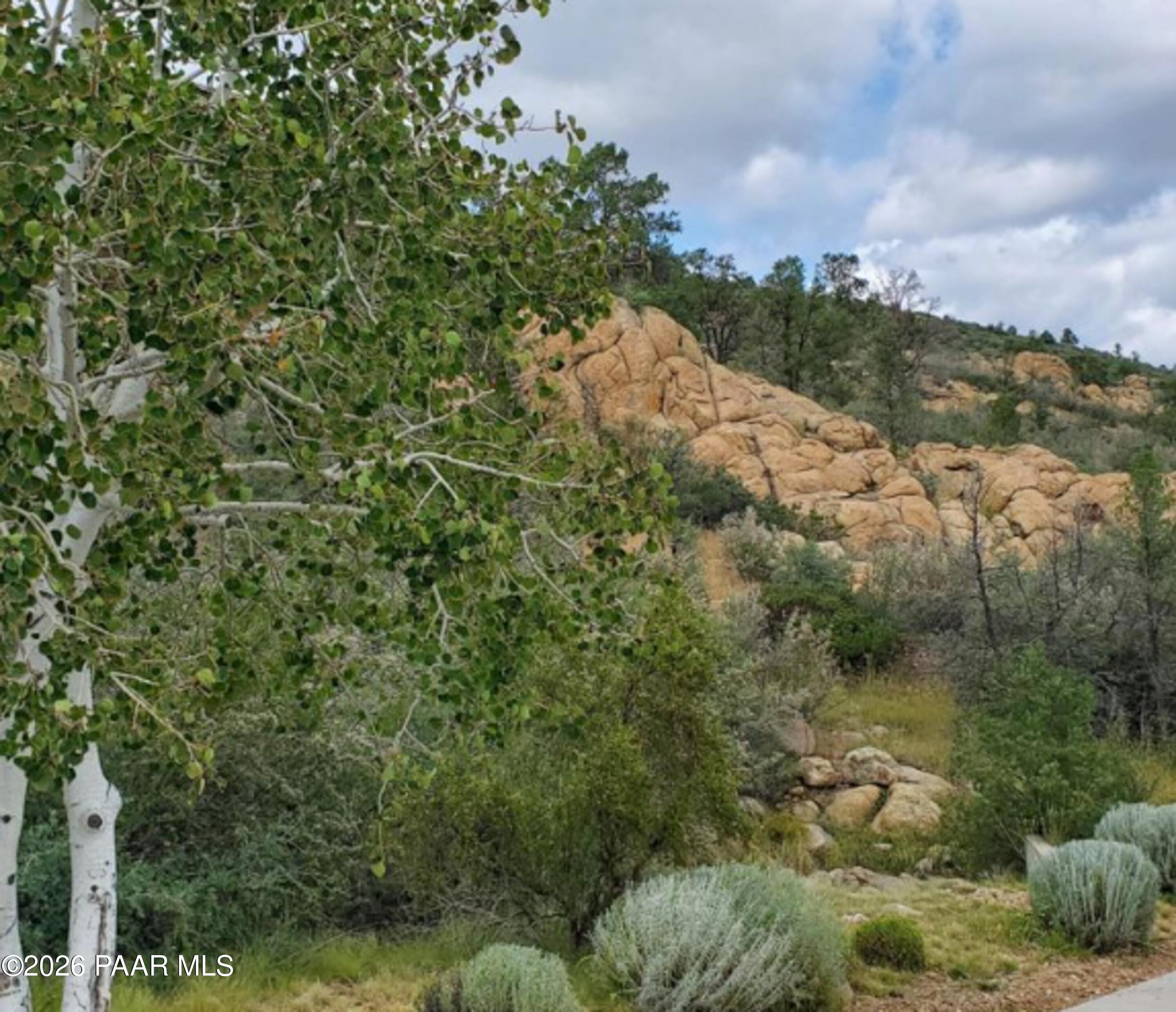 3076 La Questa Prescott, AZ 86305 - Photo 4 of 38 a view of a forest with a forest