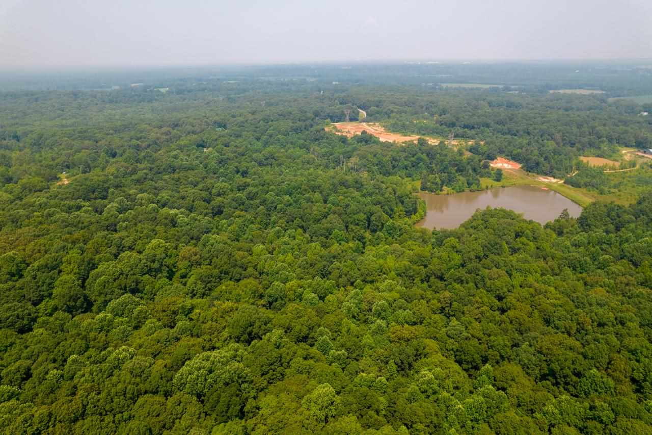 279 Deep Gap Road Jackson, TN 38301 - Photo 11 of 17 Photo 11