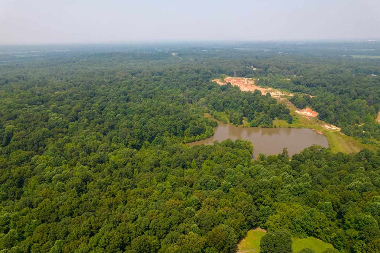 279 Deep Gap Road Jackson, TN 38301 - Photo 12 of 17 Photo 12