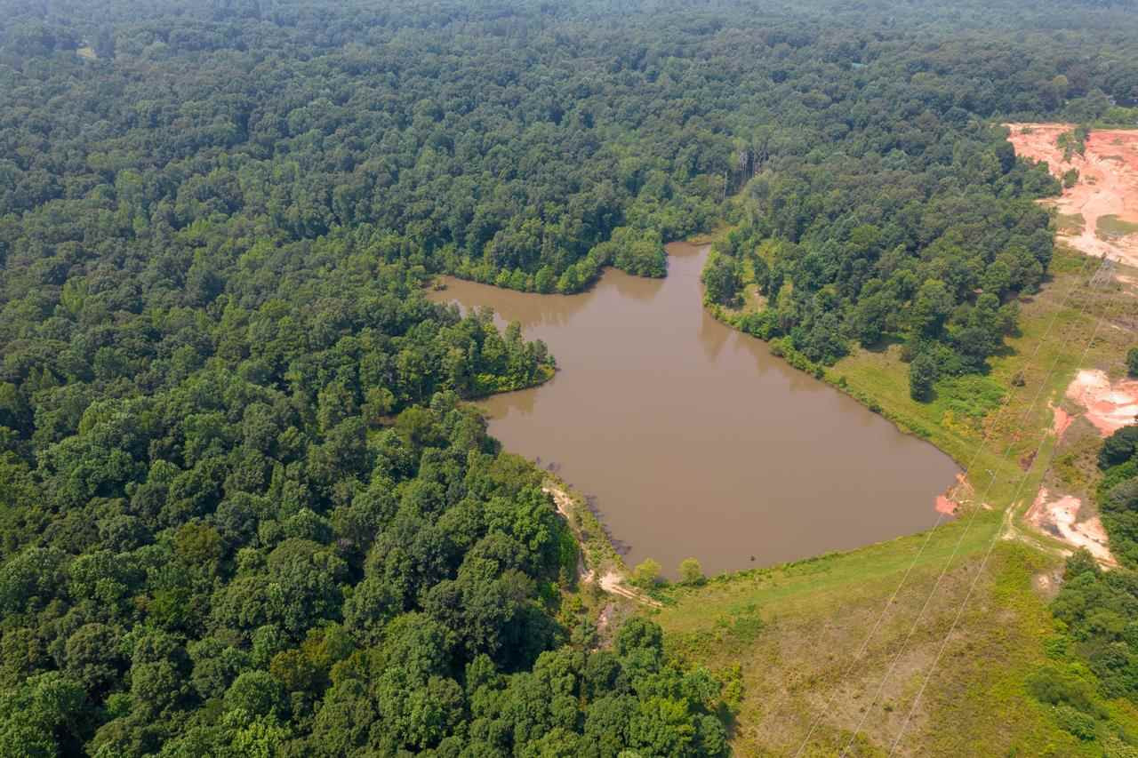 279 Deep Gap Road Jackson, TN 38301 - Photo 2 of 17 Photo 2
