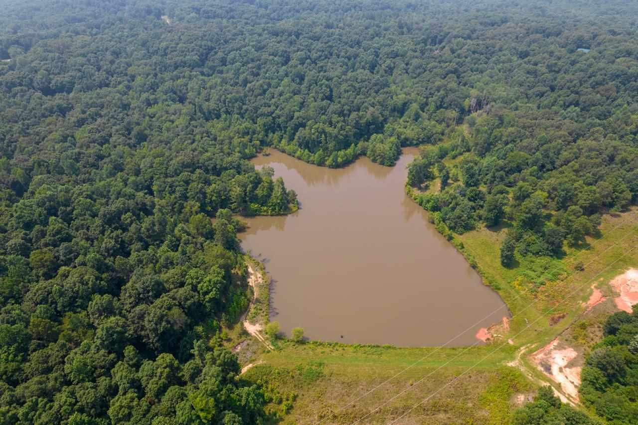 279 Deep Gap Road Jackson, TN 38301 - Photo 3 of 17 Photo 3