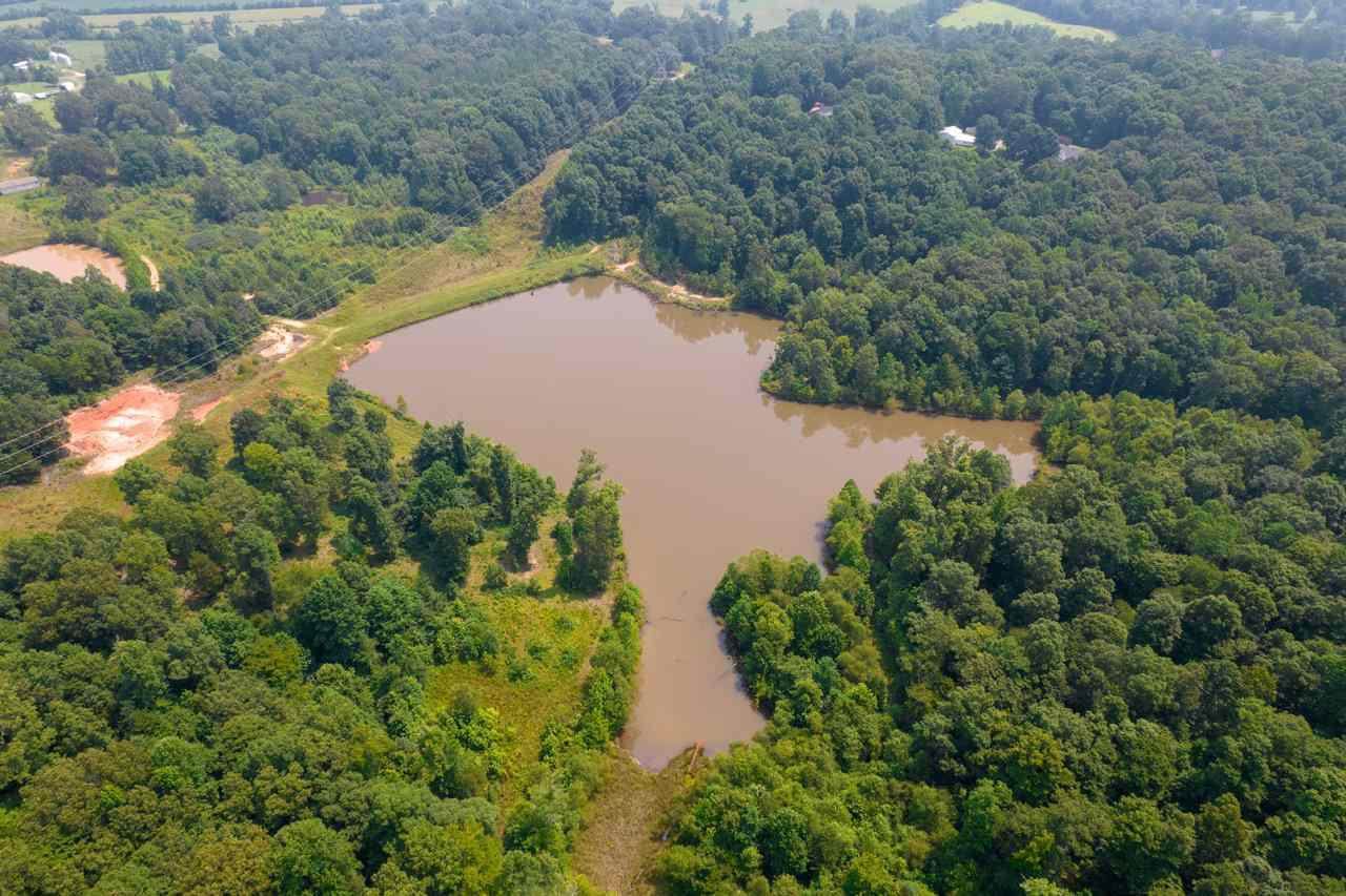 279 Deep Gap Road Jackson, TN 38301 - Photo 6 of 17 Photo 6