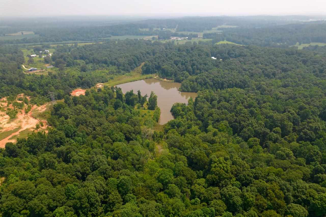 279 Deep Gap Road Jackson, TN 38301 - Photo 8 of 17 Photo 8