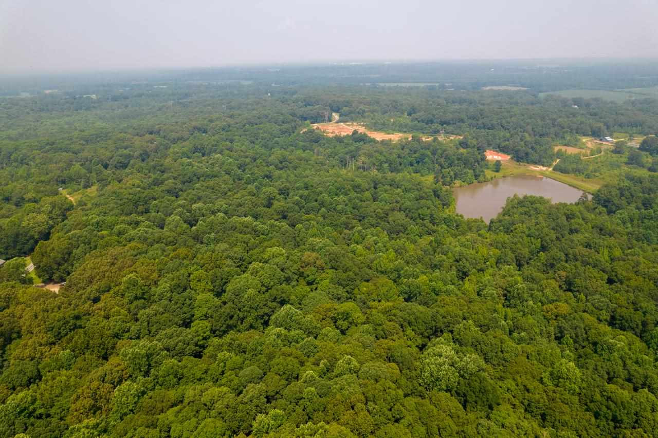 279 Deep Gap Road Jackson, TN 38301 - Photo 10 of 17 Photo 10